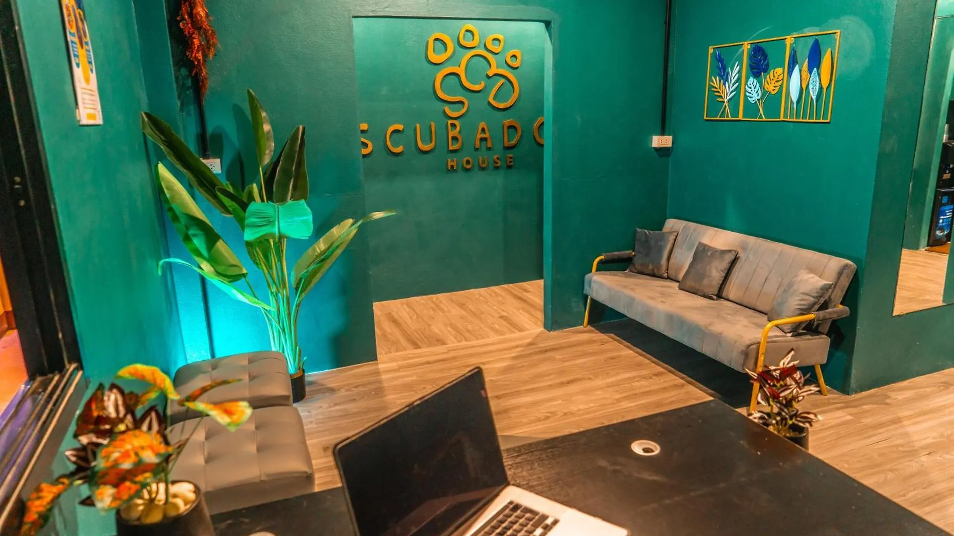 涛岛 Scubadoo House And Diving旅舍